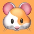 WWW,135av·COM网站APPAPP应用